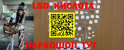 индика Будённовск