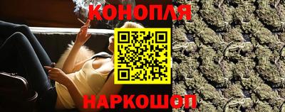 индика Будённовск