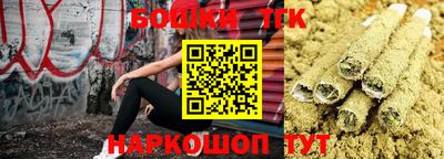 индика Будённовск