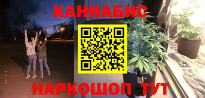 индика Будённовск