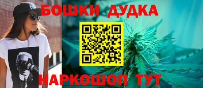 индика Будённовск