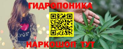 индика Будённовск