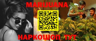 индика Будённовск