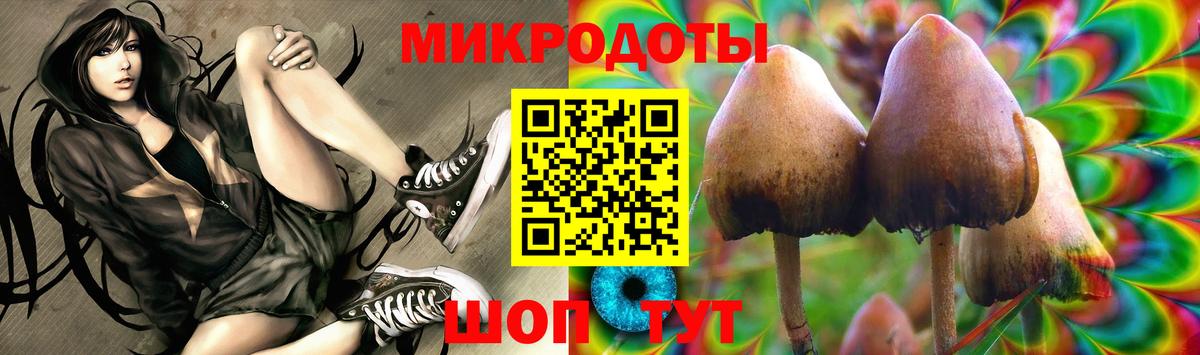 Санкт-Петербург  Псилоцибиновые грибы мухоморы  Вход с VPN 